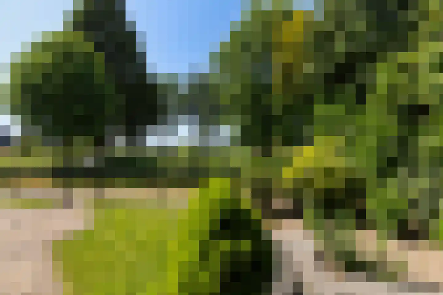 De Zweep 47 Klarenbeek thumbnail 11