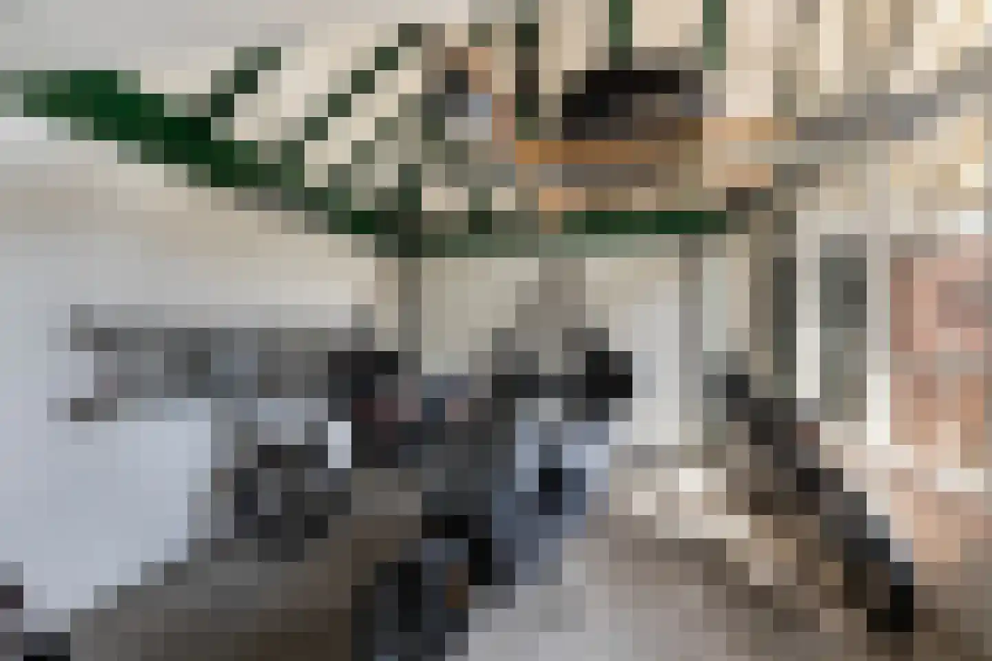 De Zweep 47 Klarenbeek thumbnail 35