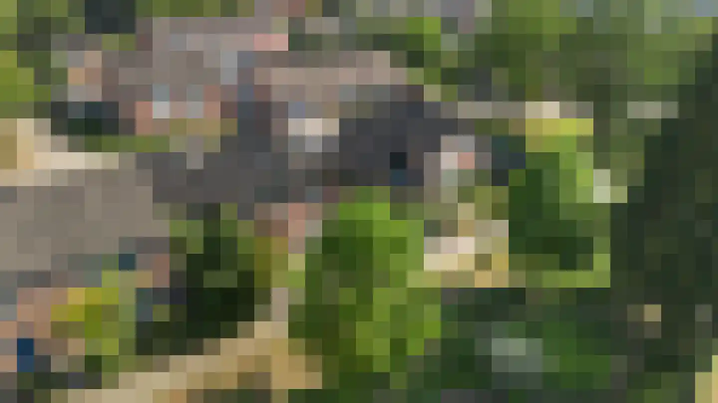 De Zweep 47 Klarenbeek thumbnail 4