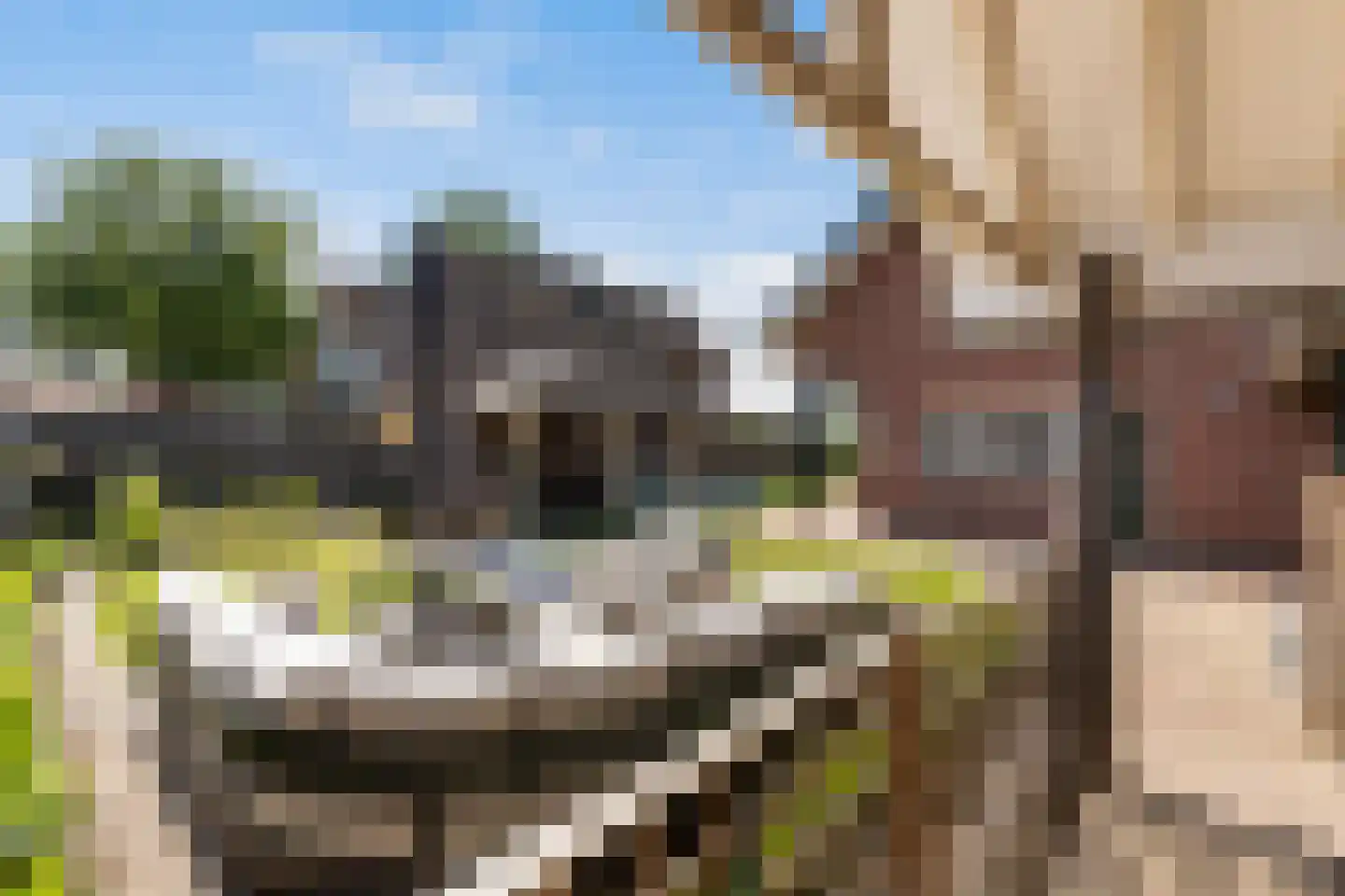 De Zweep 47 Klarenbeek thumbnail 42