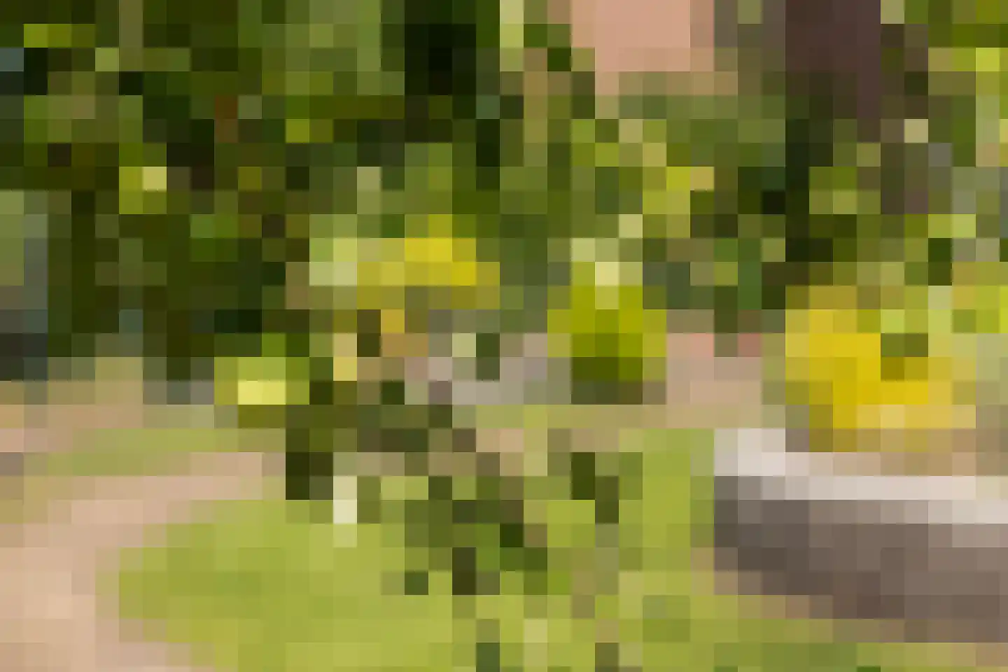 De Zweep 47 Klarenbeek thumbnail 47