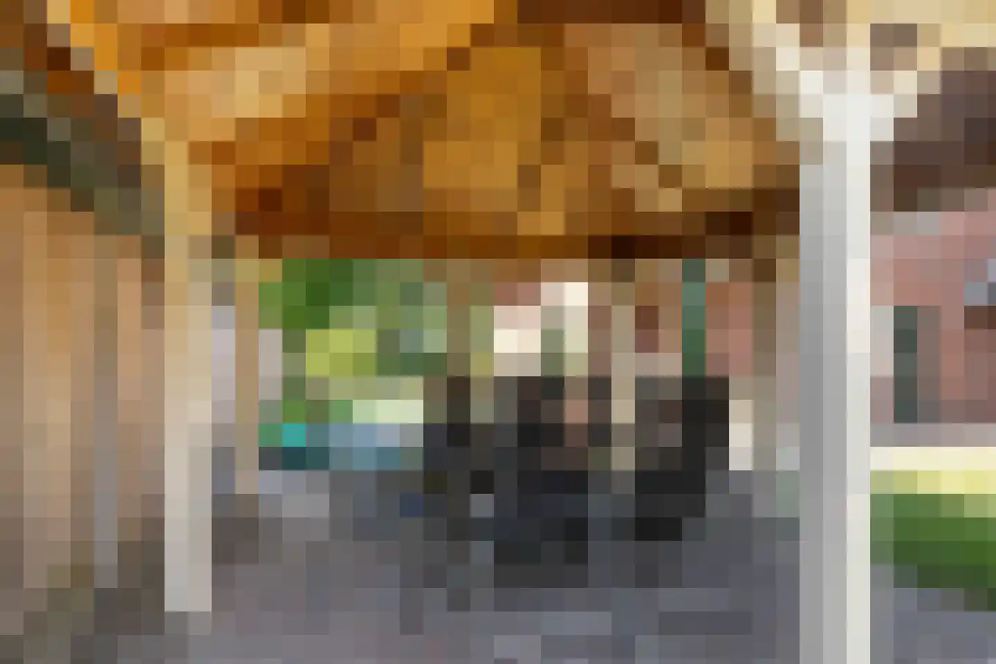 De Zweep 47 Klarenbeek thumbnail 50