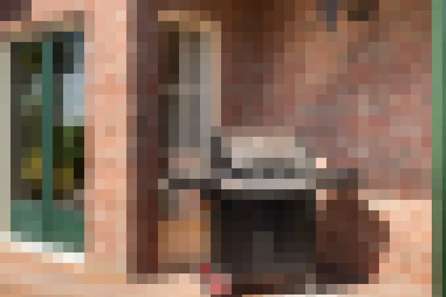 De Zweep 47 Klarenbeek thumbnail 51