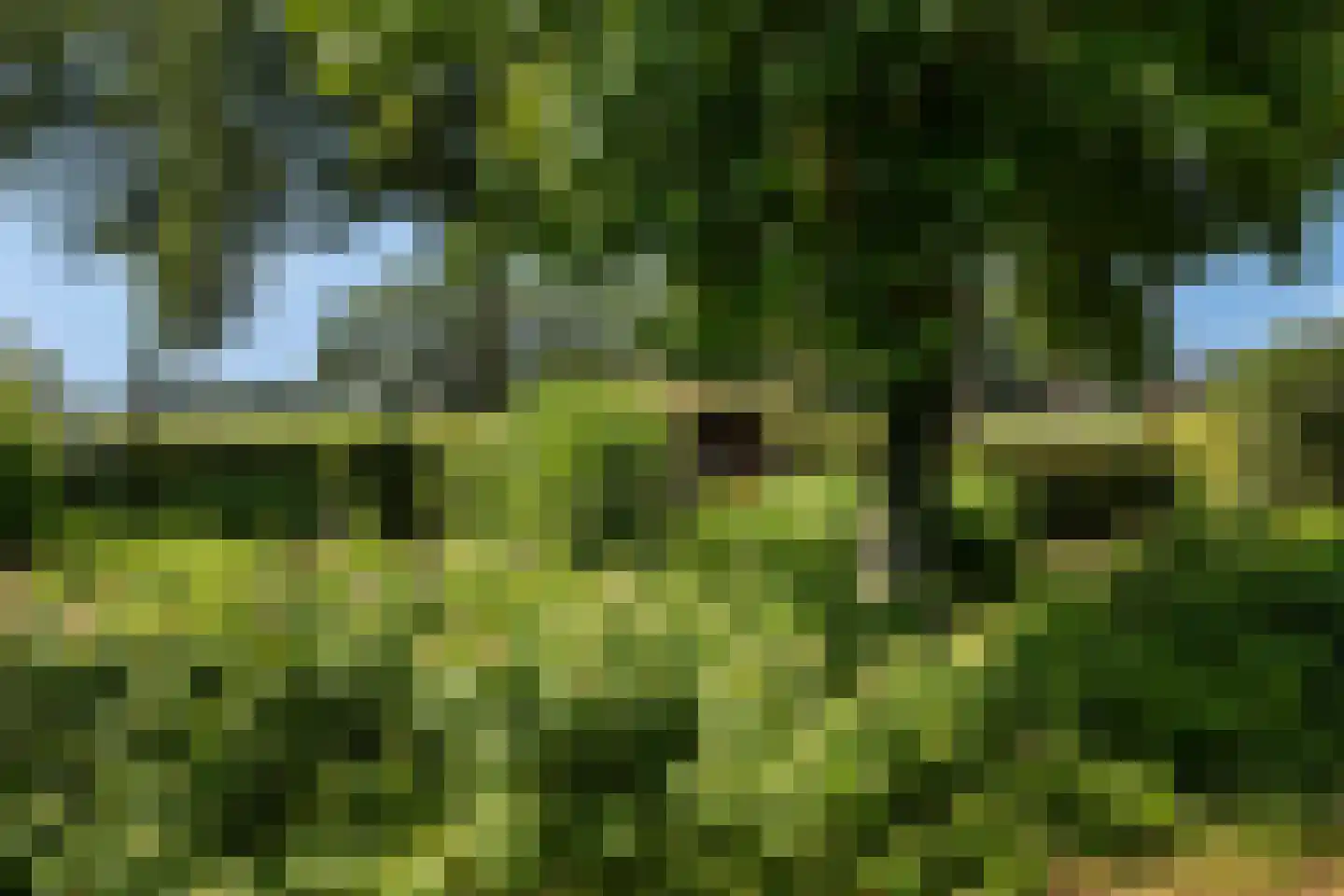 De Zweep 47 Klarenbeek thumbnail 54