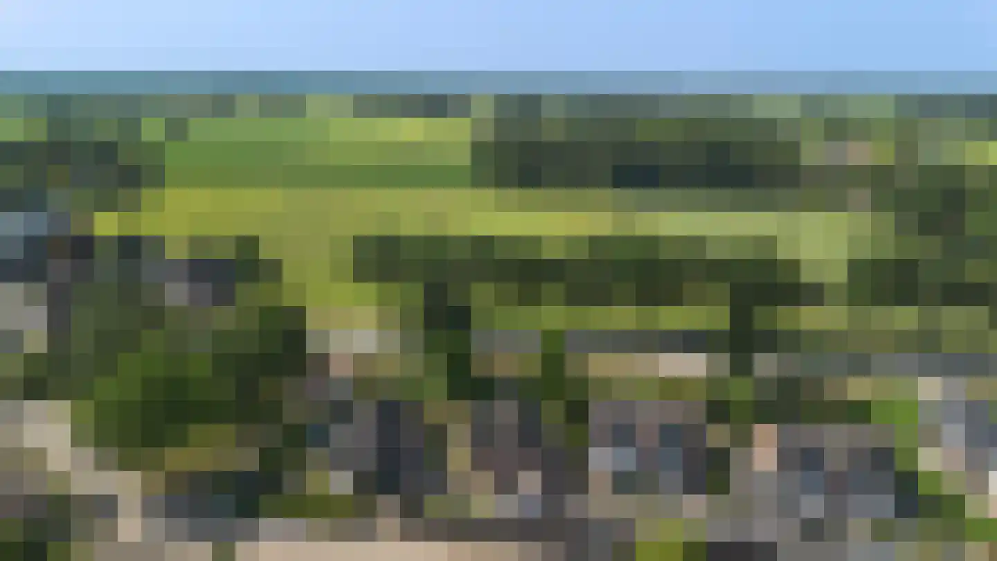 De Zweep 47 Klarenbeek thumbnail 55