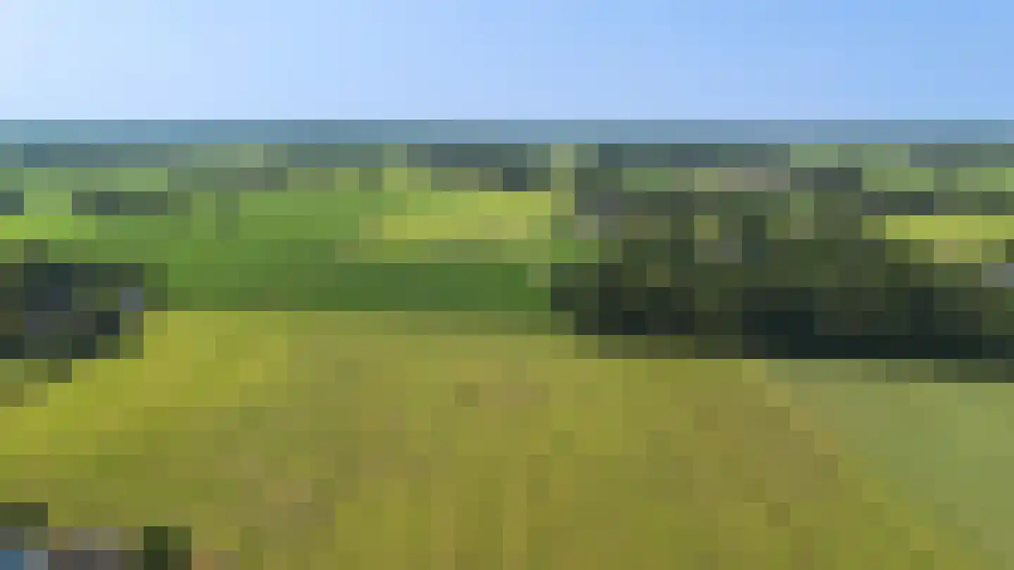 De Zweep 47 Klarenbeek thumbnail 56