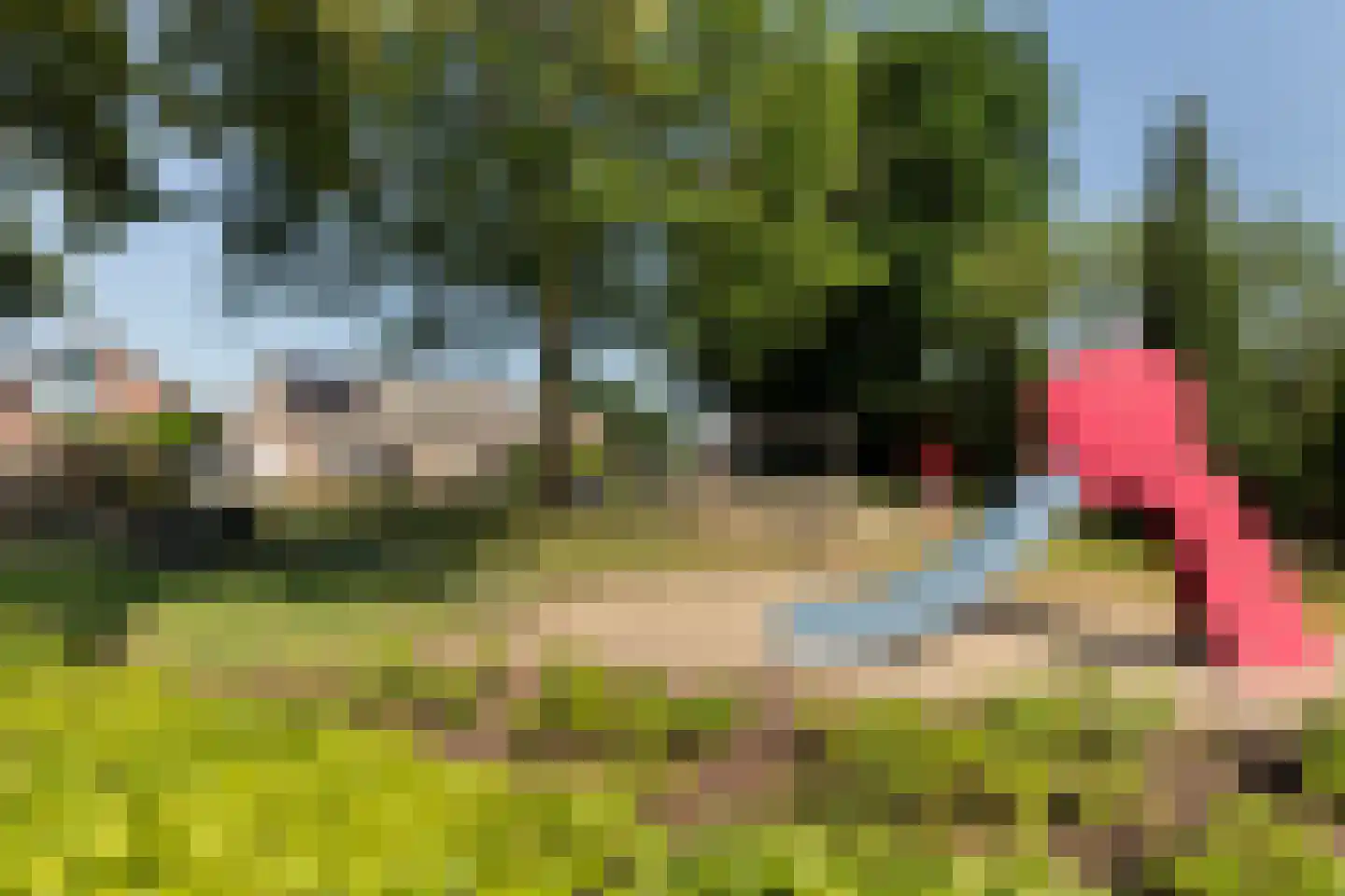 De Zweep 47 Klarenbeek thumbnail 57