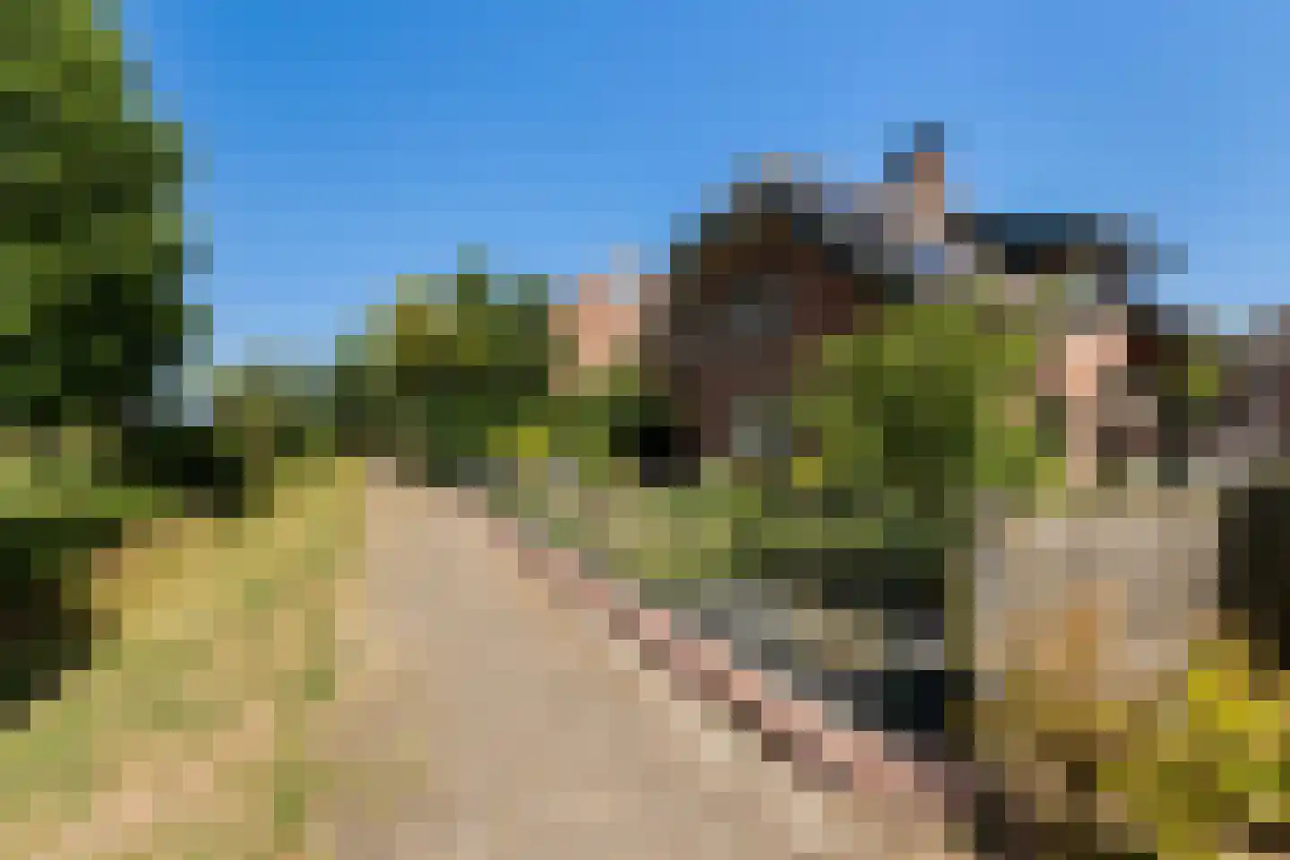 De Zweep 47 Klarenbeek thumbnail 6