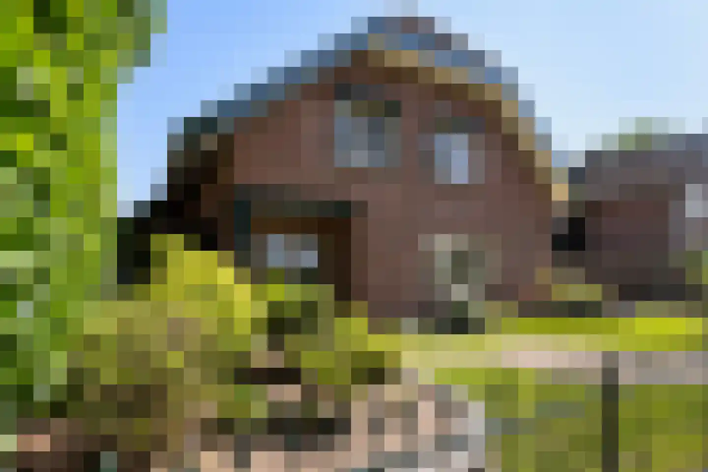De Zweep 47 Klarenbeek thumbnail 7
