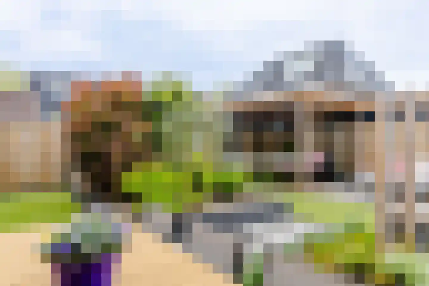 De Zwerm 12 Winkel thumbnail 17
