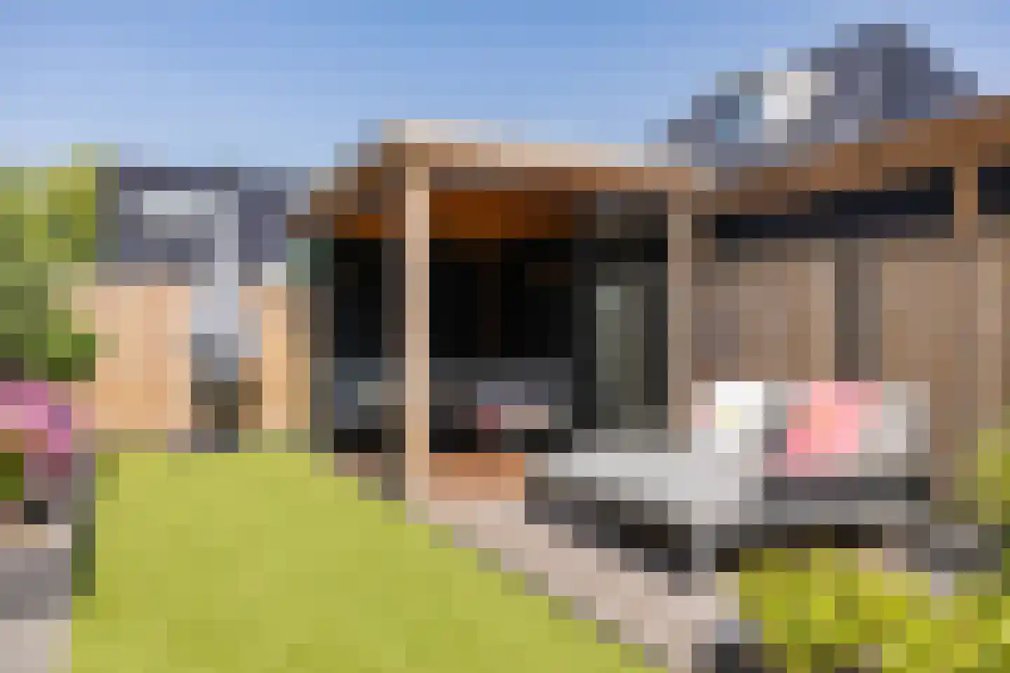 De Zwerm 12 Winkel thumbnail 21