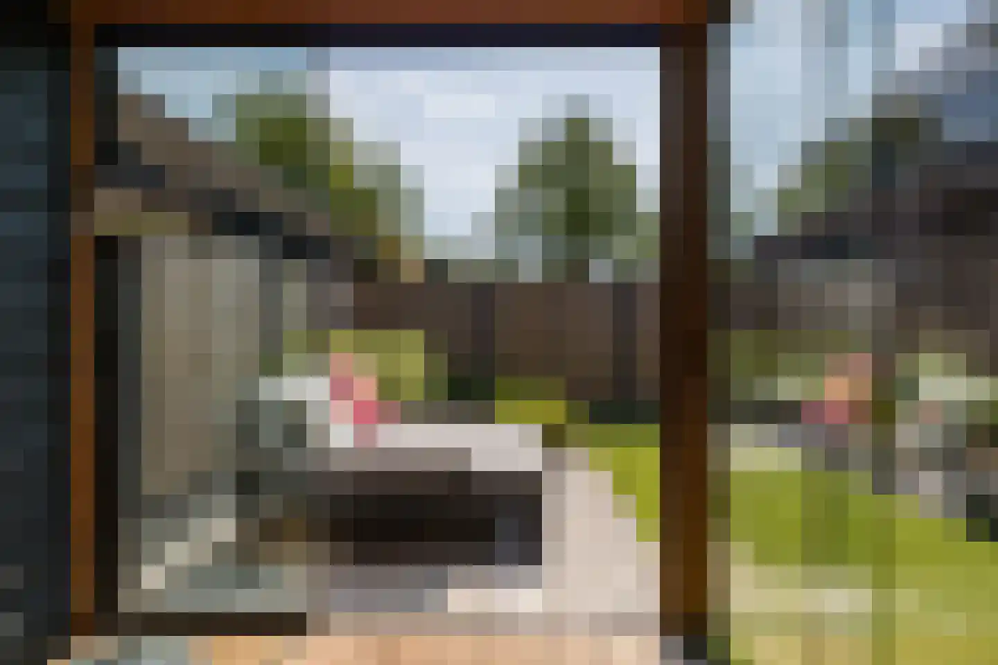 De Zwerm 12 Winkel thumbnail 23