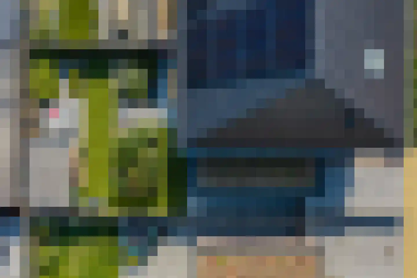 De Zwerm 12 Winkel thumbnail 25