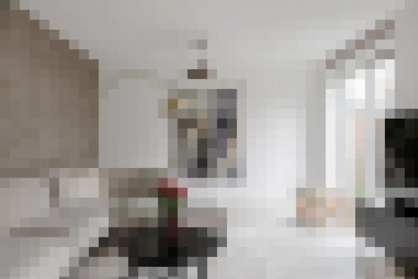 De Zwerm 12 Winkel thumbnail 6