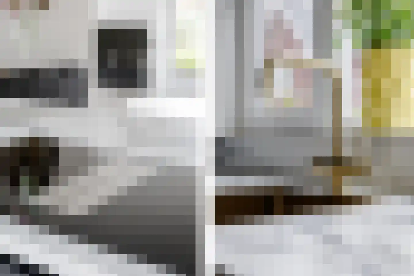 De Zwerm 12 Winkel thumbnail 7