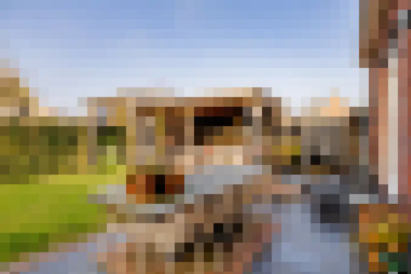 De Zwerm 7 Winkel thumbnail 24