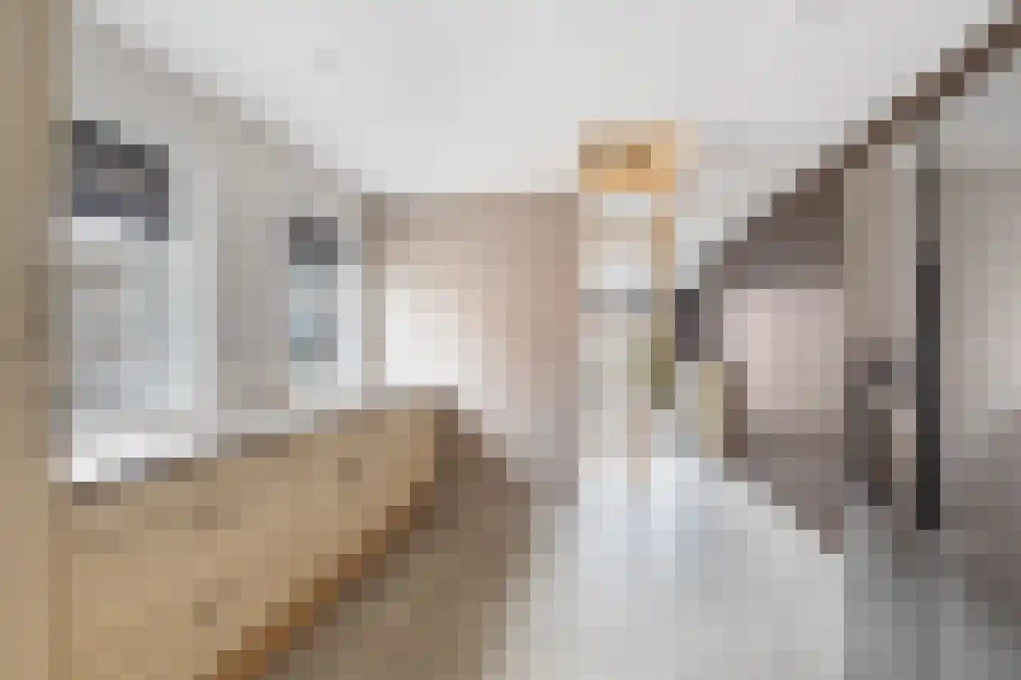 De Zwingel 6 Lage Zwaluwe thumbnail 19