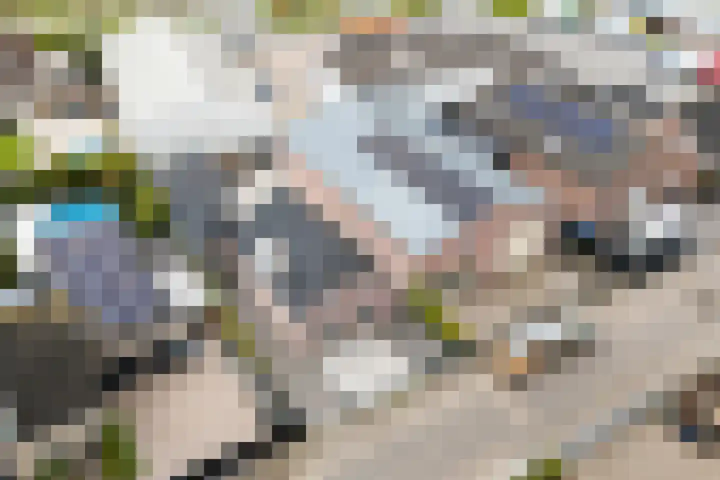 De Zwingel 6 Lage Zwaluwe foto 2