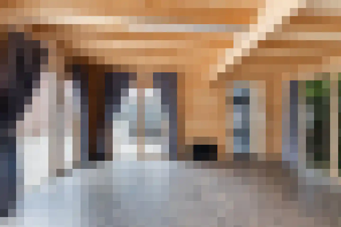 De Zwingel 6 Lage Zwaluwe thumbnail 21