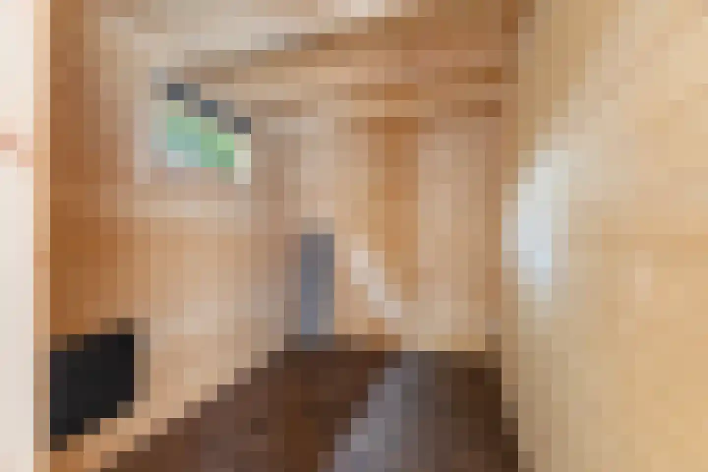 De Zwingel 6 Lage Zwaluwe thumbnail 24