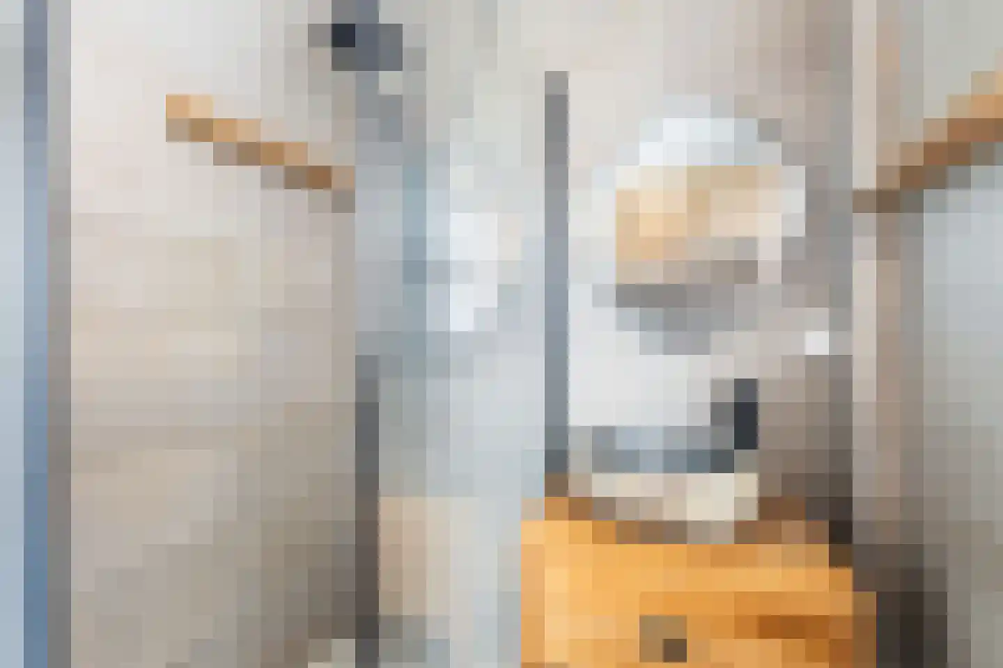 De Zwingel 6 Lage Zwaluwe thumbnail 27