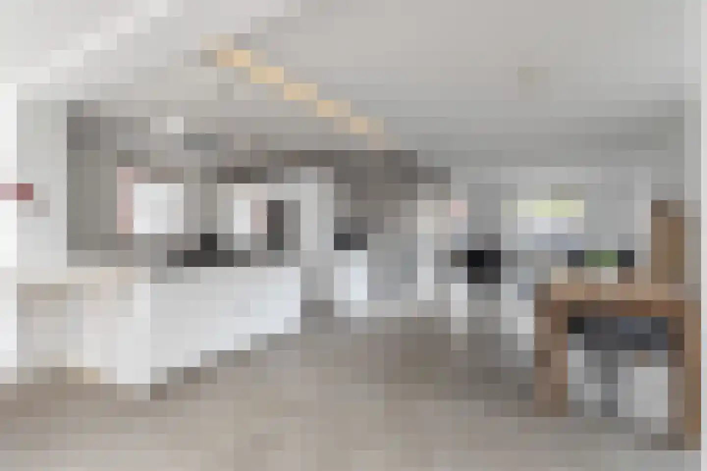 De Zwingel 6 Lage Zwaluwe foto 3