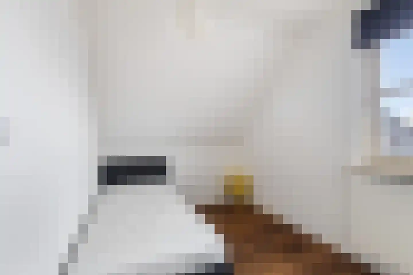 De Zwingel 6 Lage Zwaluwe thumbnail 34