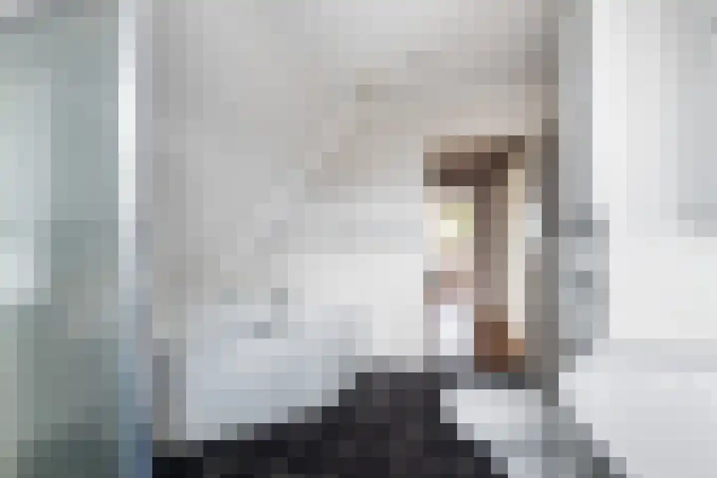 De Zwingel 6 Lage Zwaluwe thumbnail 38