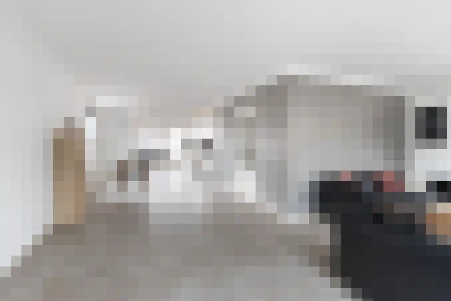 De Zwingel 6 Lage Zwaluwe thumbnail 4