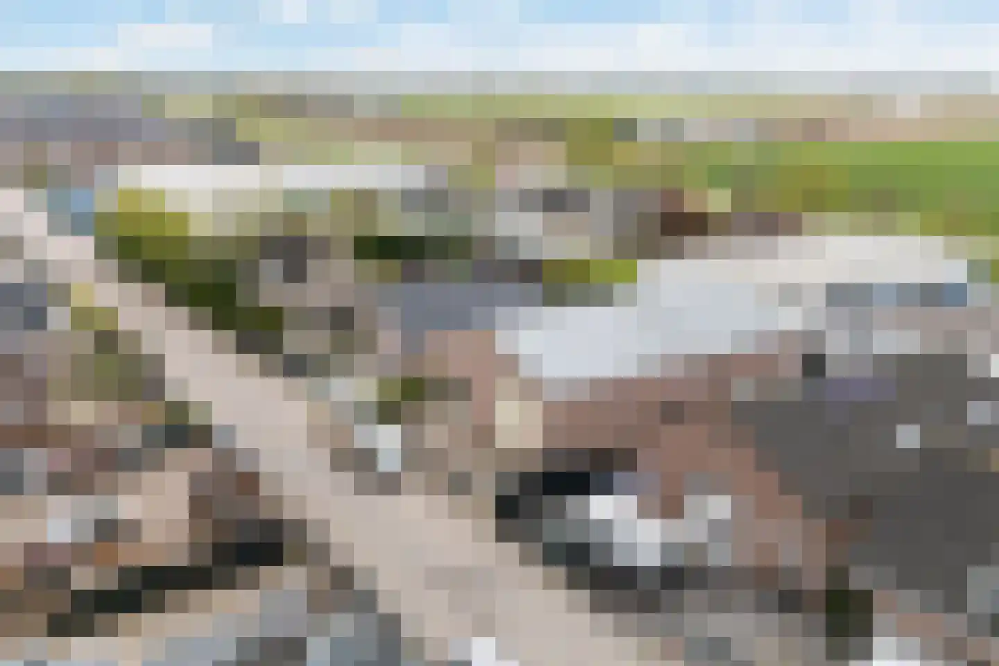 De Zwingel 6 Lage Zwaluwe thumbnail 44