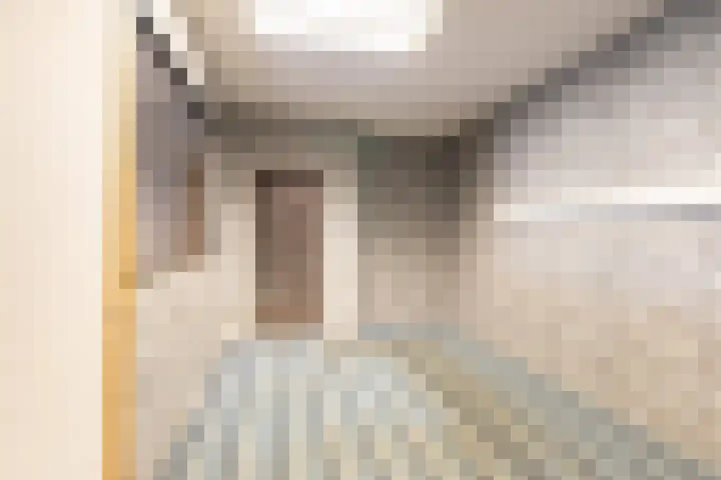 De Zwingel 6 Lage Zwaluwe thumbnail 57