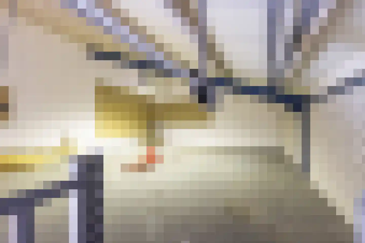 De Zwingel 6 Lage Zwaluwe thumbnail 63