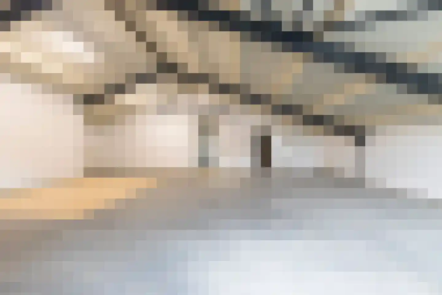 De Zwingel 6 Lage Zwaluwe thumbnail 66
