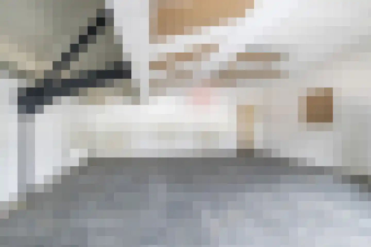 De Zwingel 6 Lage Zwaluwe thumbnail 73