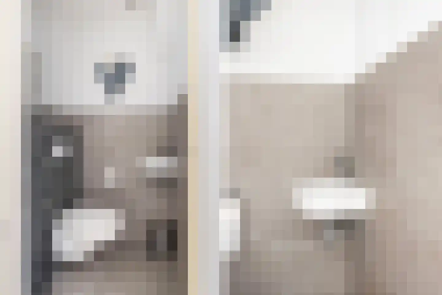De Zwingel 6 Lage Zwaluwe thumbnail 8