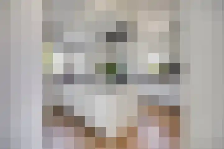 De Zwingel 9 A Lage Zwaluwe thumbnail 10
