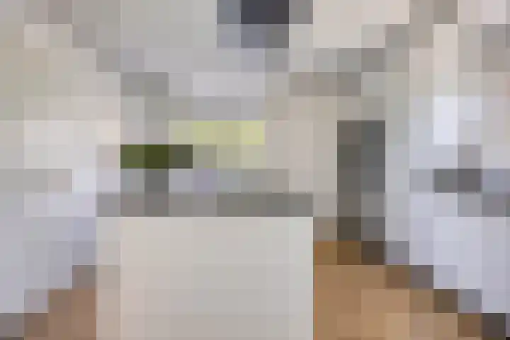 De Zwingel 9 A Lage Zwaluwe thumbnail 11