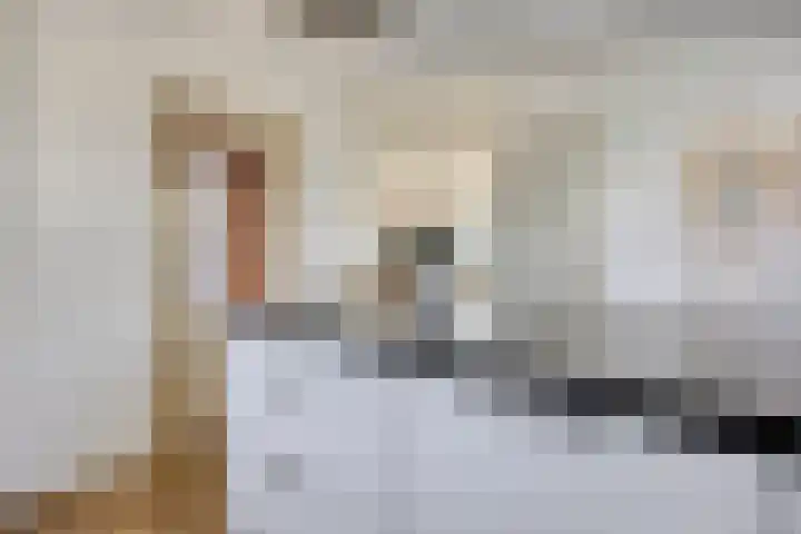 De Zwingel 9 A Lage Zwaluwe thumbnail 12