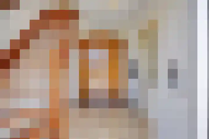 De Zwingel 9 A Lage Zwaluwe thumbnail 14