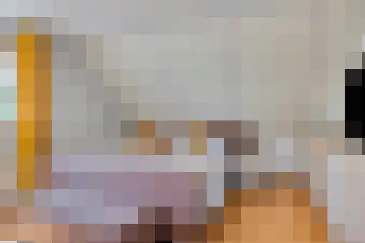 De Zwingel 9 A Lage Zwaluwe thumbnail 15
