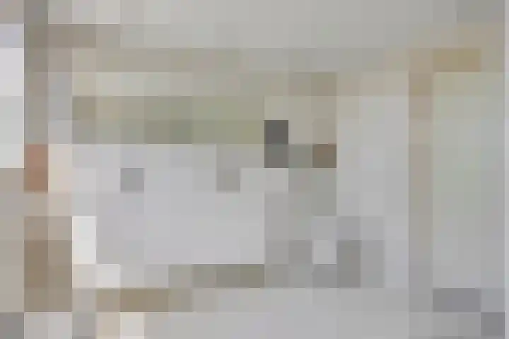 De Zwingel 9 A Lage Zwaluwe thumbnail 20