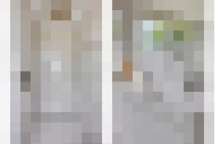De Zwingel 9 A Lage Zwaluwe thumbnail 22