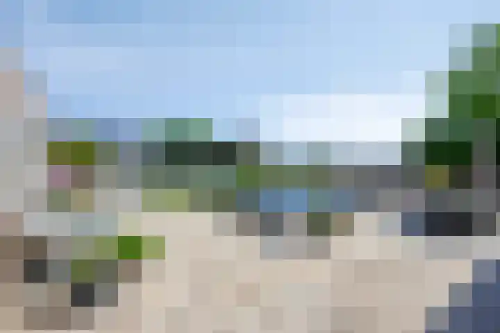 De Zwingel 9 A Lage Zwaluwe thumbnail 25
