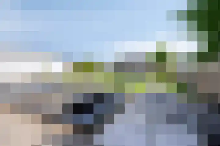 De Zwingel 9 A Lage Zwaluwe thumbnail 26