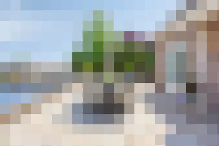 De Zwingel 9 A Lage Zwaluwe thumbnail 28