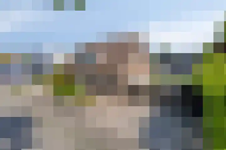 De Zwingel 9 A Lage Zwaluwe foto 3