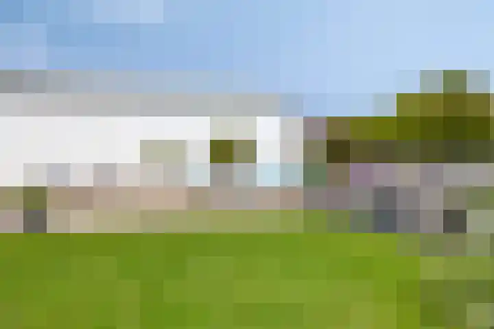 De Zwingel 9 A Lage Zwaluwe thumbnail 30