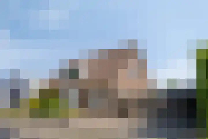 De Zwingel 9 A Lage Zwaluwe thumbnail 31