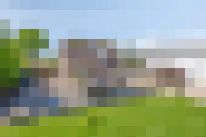 De Zwingel 9 A Lage Zwaluwe thumbnail 39