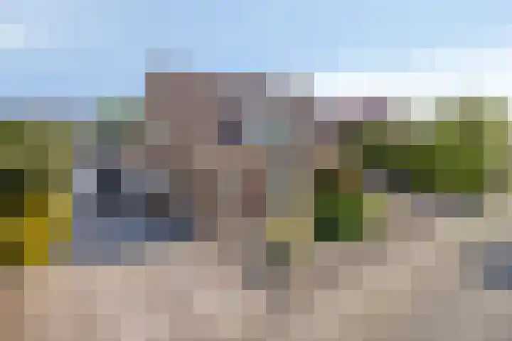 De Zwingel 9 A Lage Zwaluwe thumbnail 42